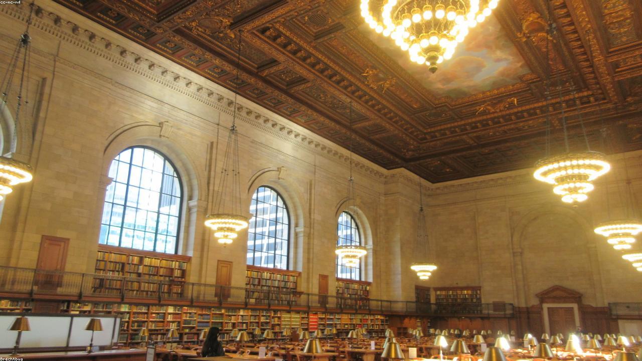 Library shelves filled with novels — every one starts with a great first chapter