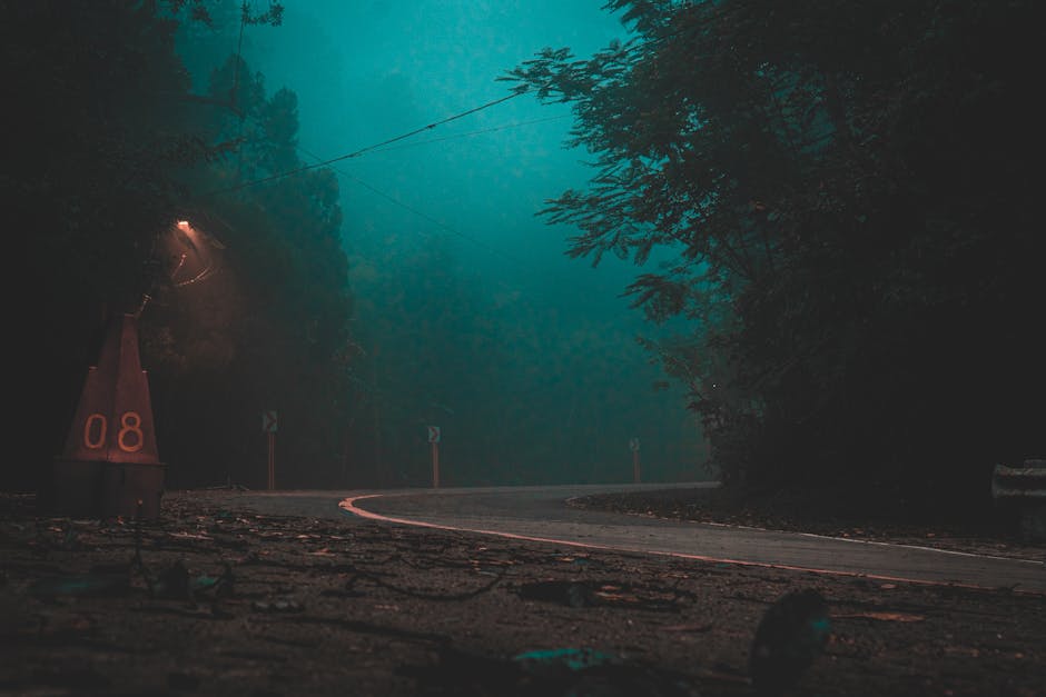 An eerie scene of a winding forest road enveloped in fog and lit by a streetlight, creating a mysterious atmosphere.